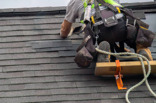 Best Storm Damage Roof Repair  in St Pauls, NC