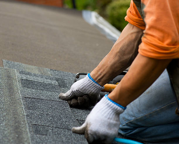 Best Roof Restoration Services  in St Pauls, NC
